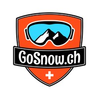 GoSnow : enquête novembre 2020