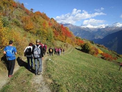 7. Après un plantureux repas au restaurant Salwald, descente vers Mund.