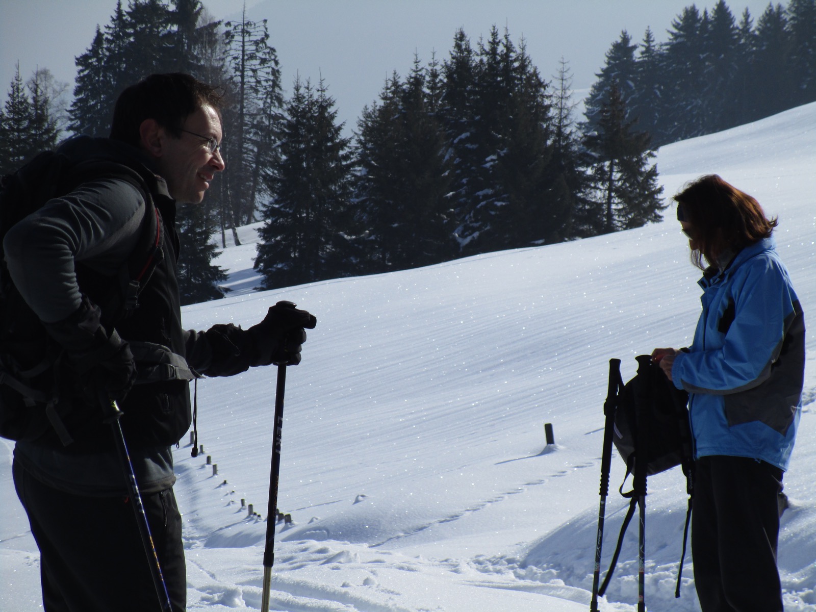 2. Vous entrouverez dans la forêt. Ici la neige est trop profonde.