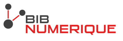 Logo Bib Num